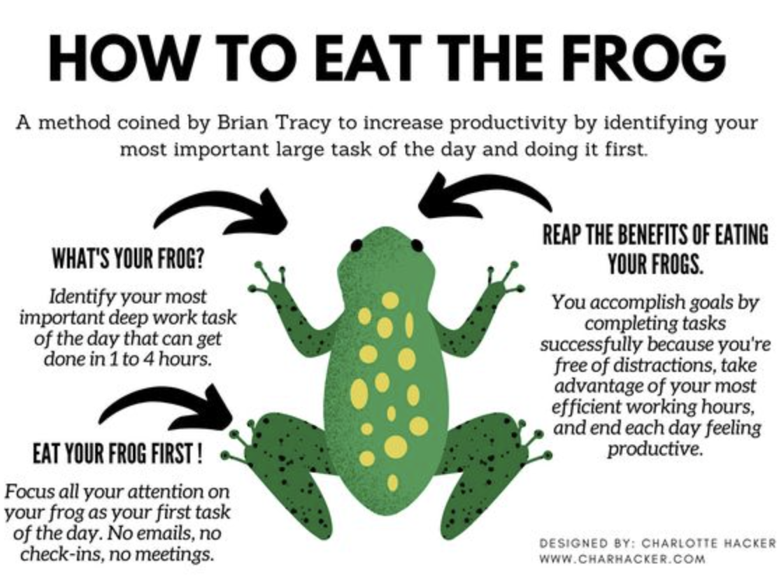 Eat The Frog Technique - Brian Tracy 
